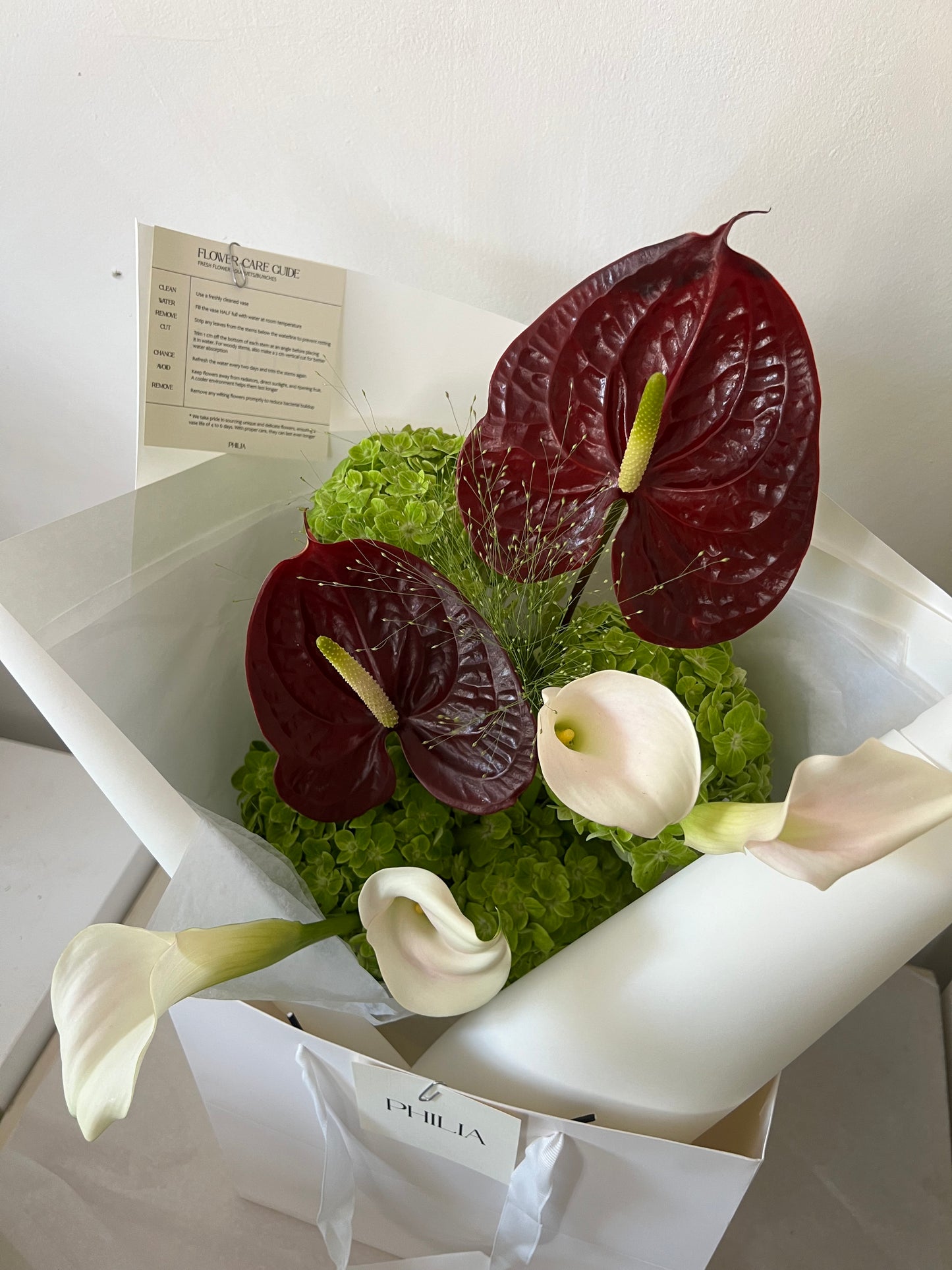 Anthurium Lover Handtied︱White Paper