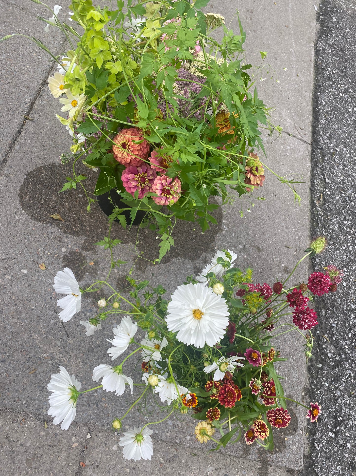 Monthly Flower Subscription 2026 - The first week of every month