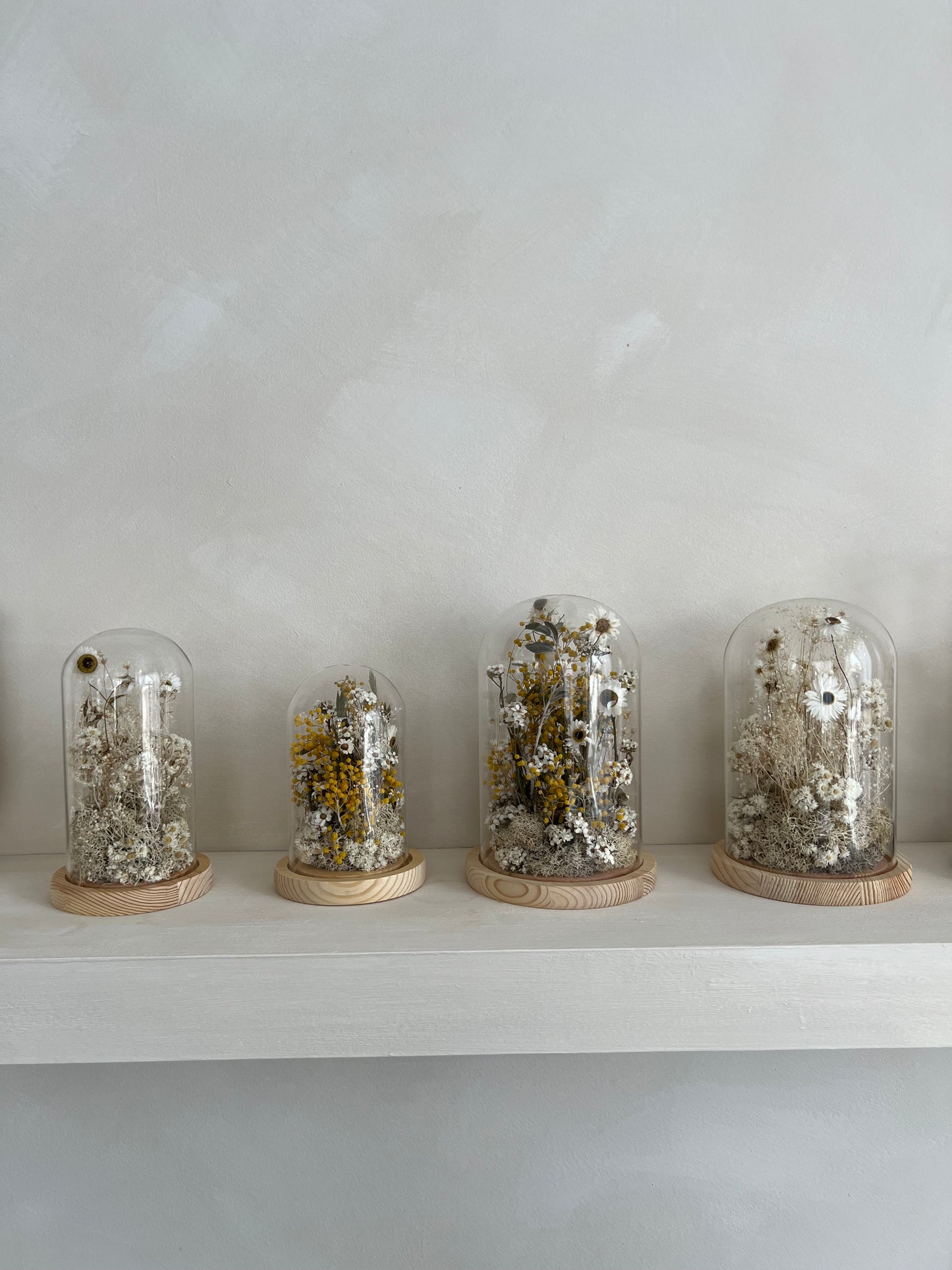 Cloche | Dried Flowers