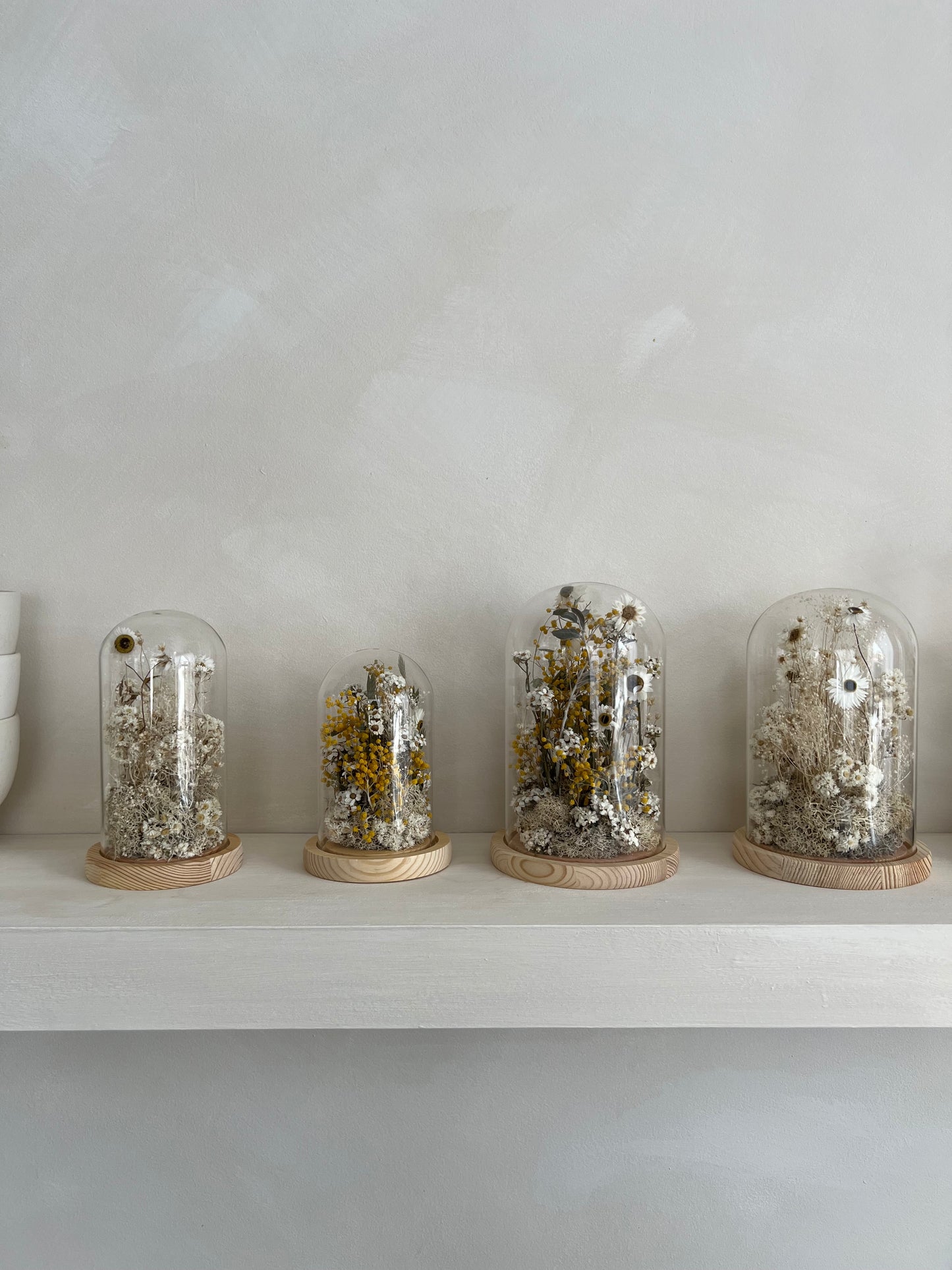 Cloche | Dried Flowers