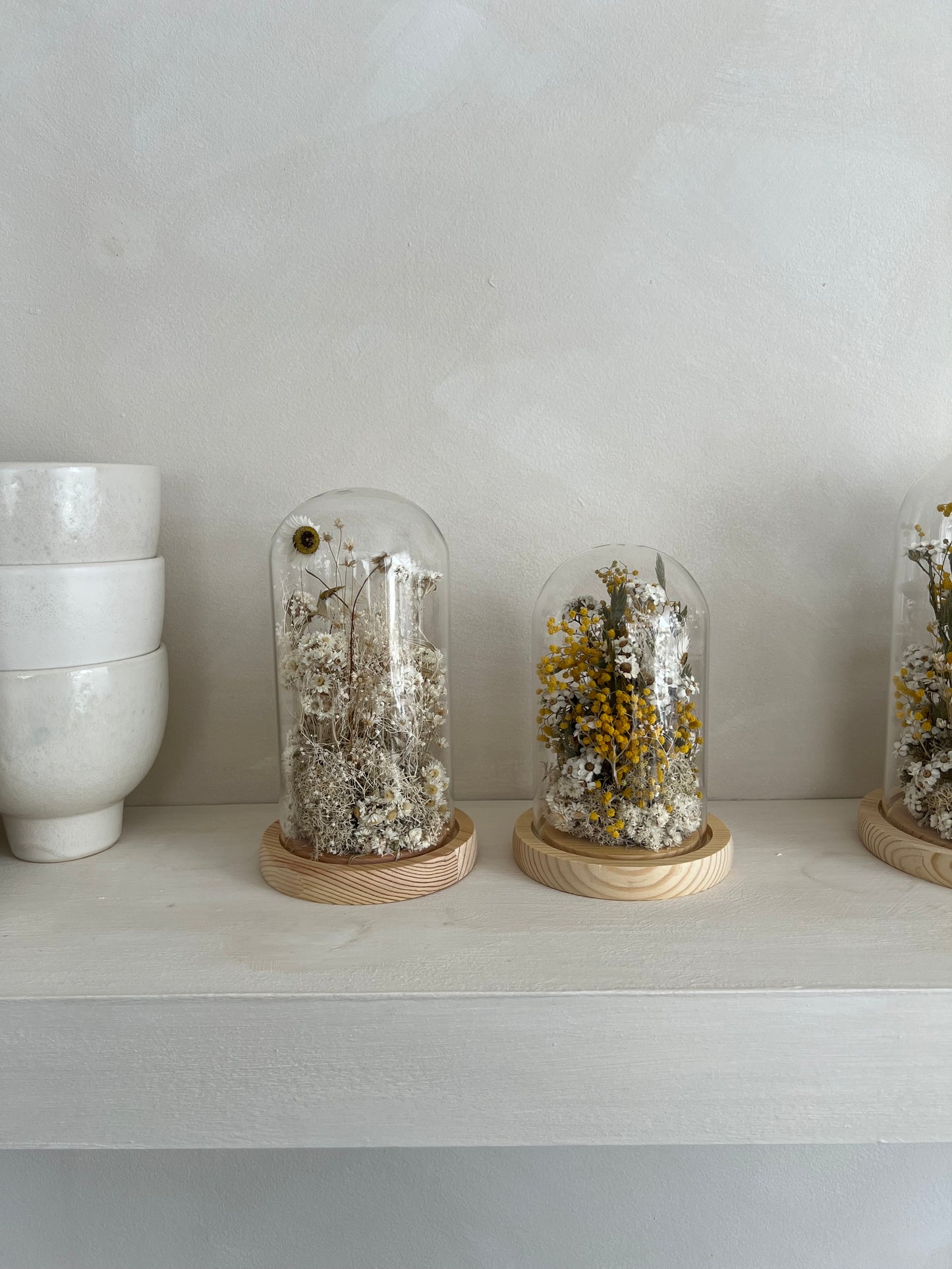 Cloche | Dried Flowers