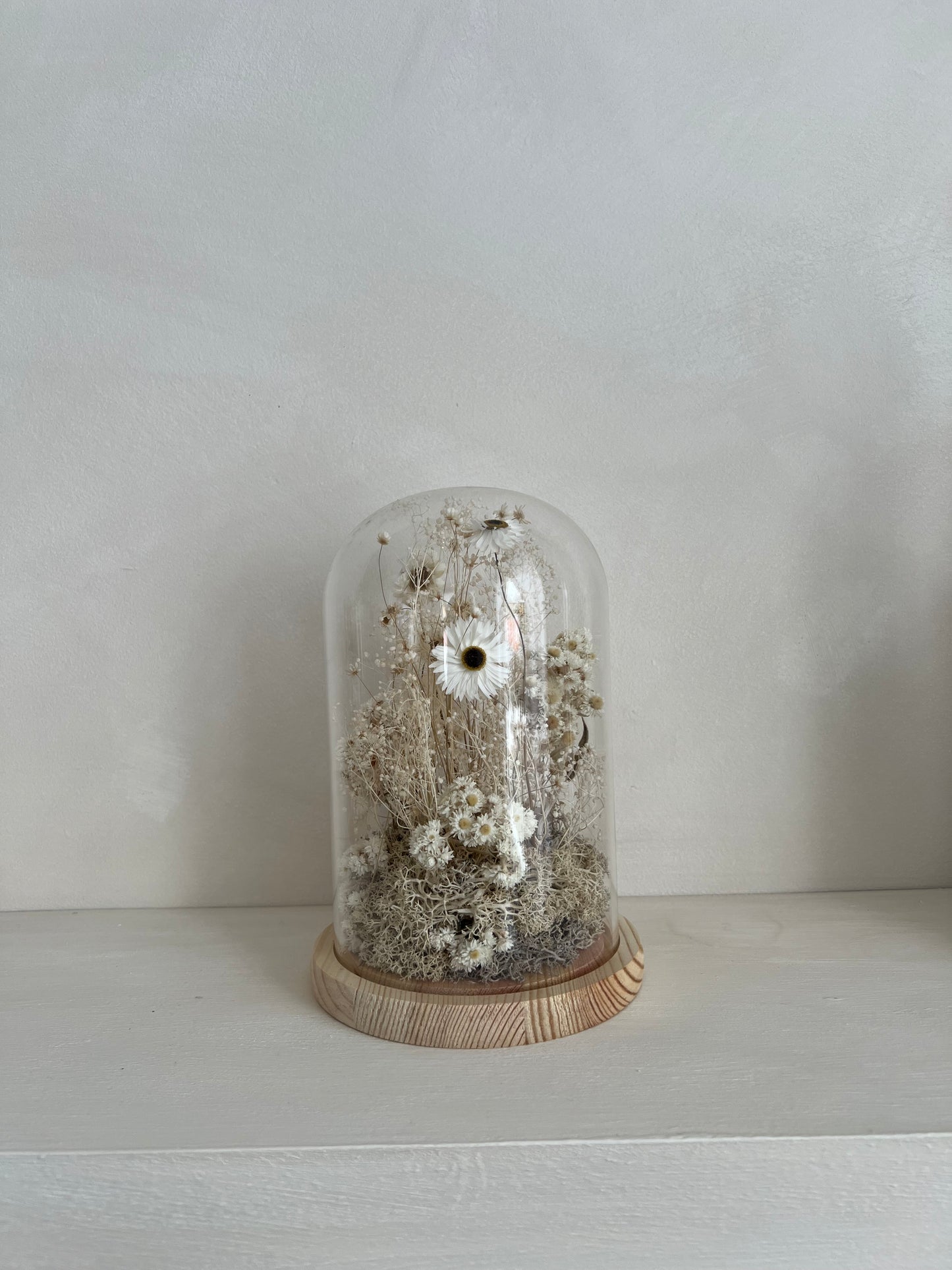 Cloche | Dried Flowers