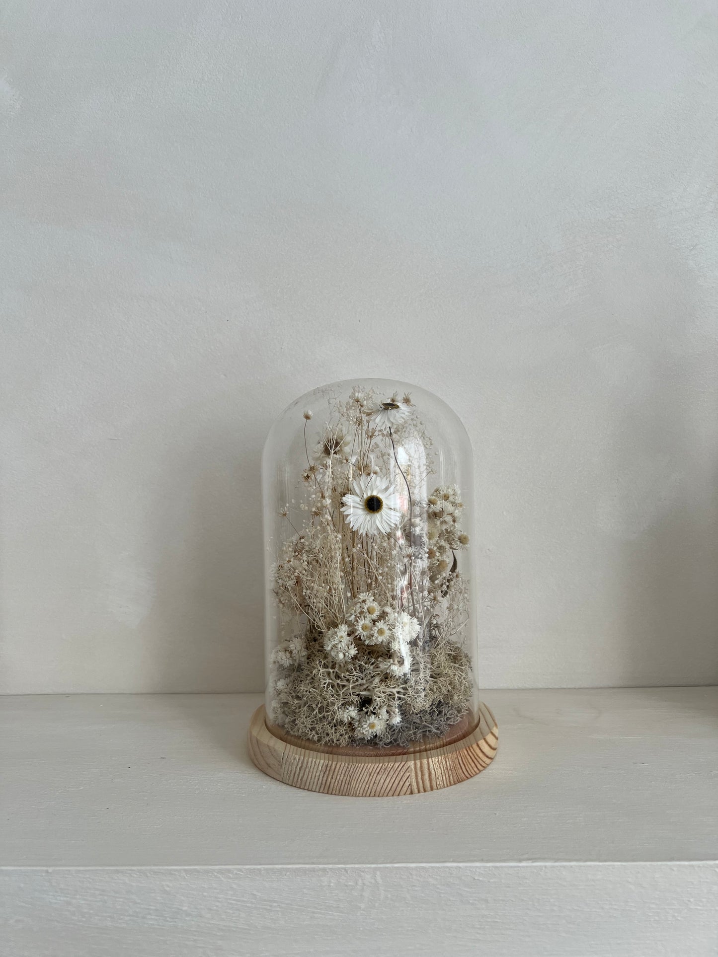 Cloche | Dried Flowers