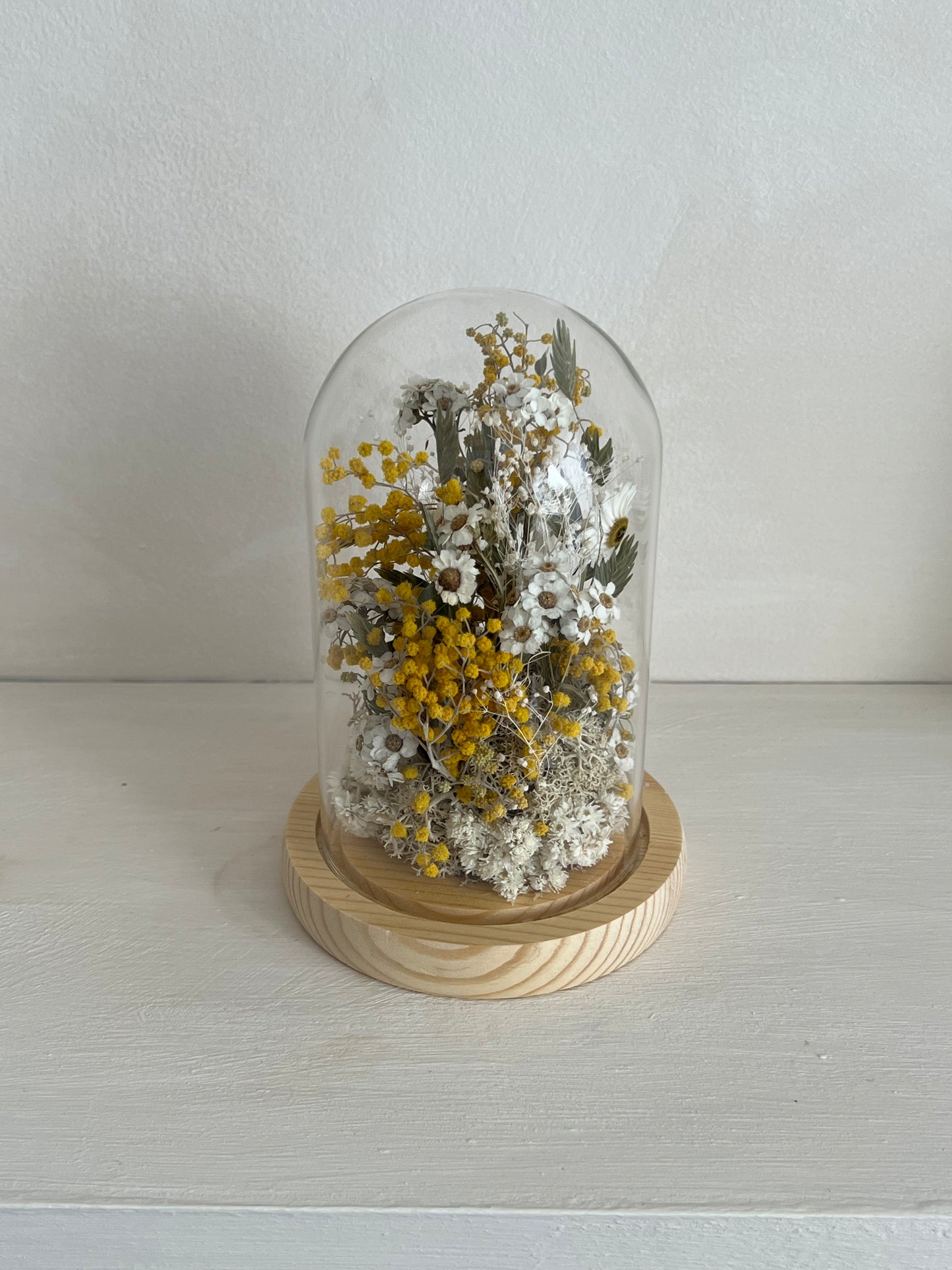 Cloche | Dried Flowers
