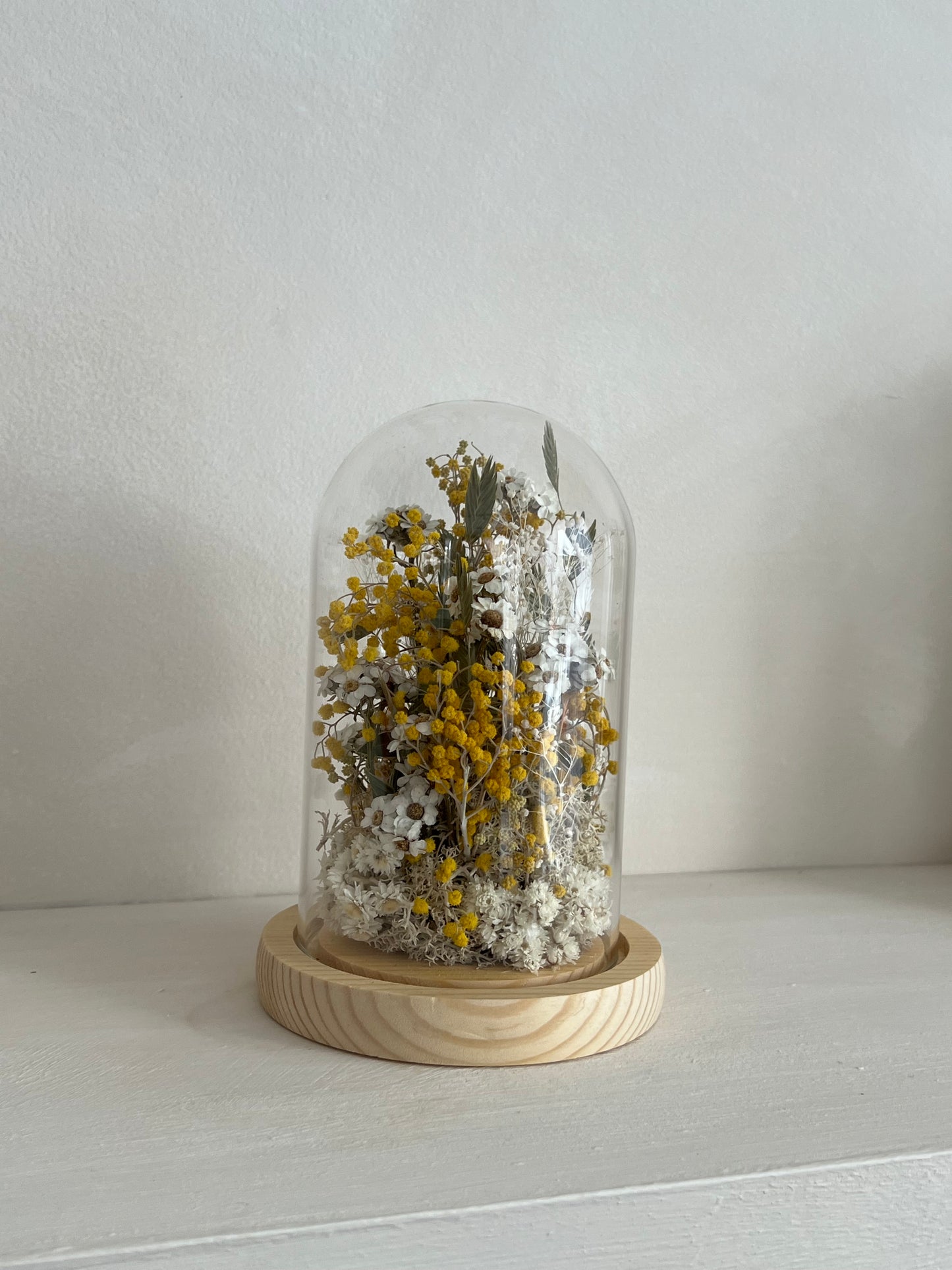 Cloche | Dried Flowers