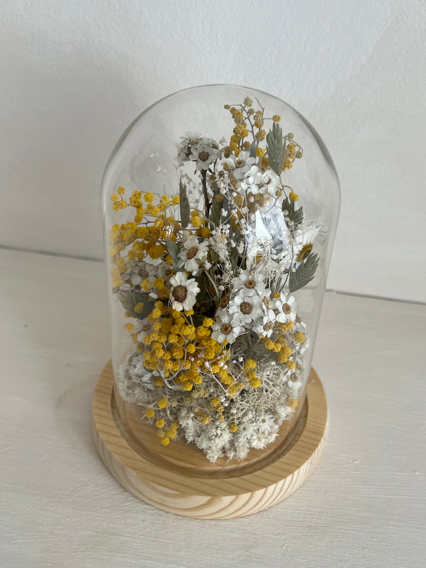 Cloche | Dried Flowers