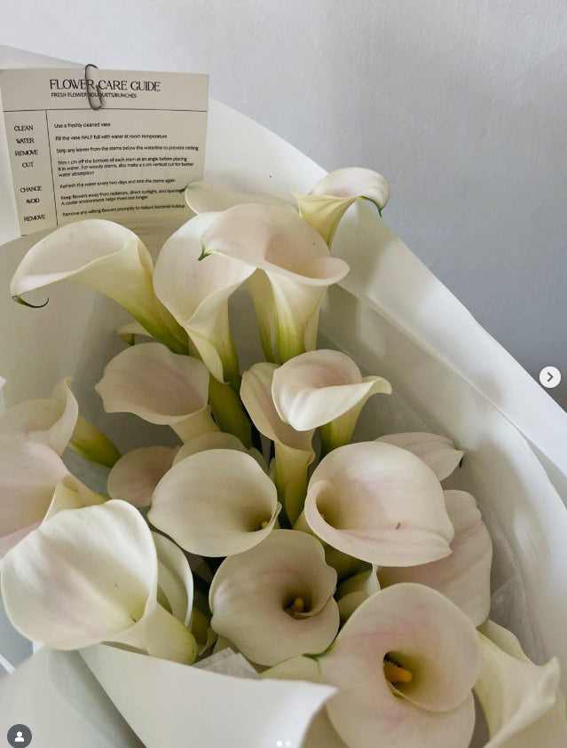 Contemporary Handtied︱White Paper