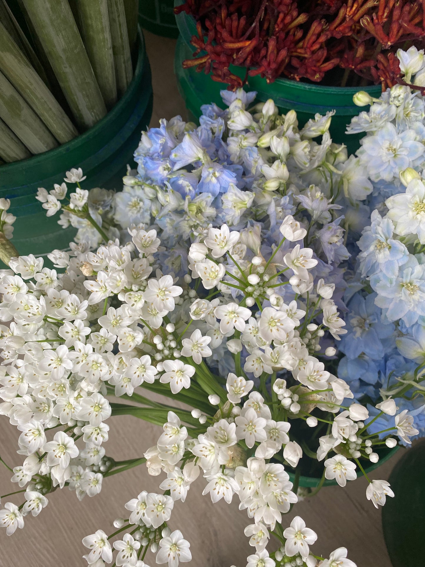 Holiday Arrangement - available only on Dec 22nd - 24th