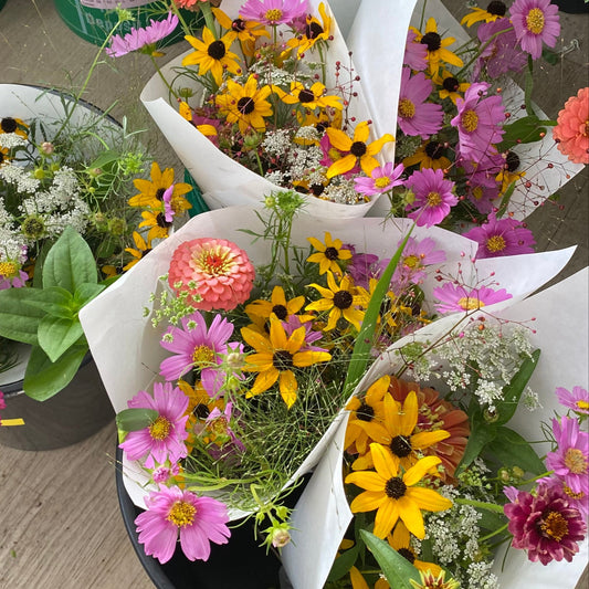 Monthly Flower Subscription 2026 - First Week of Month