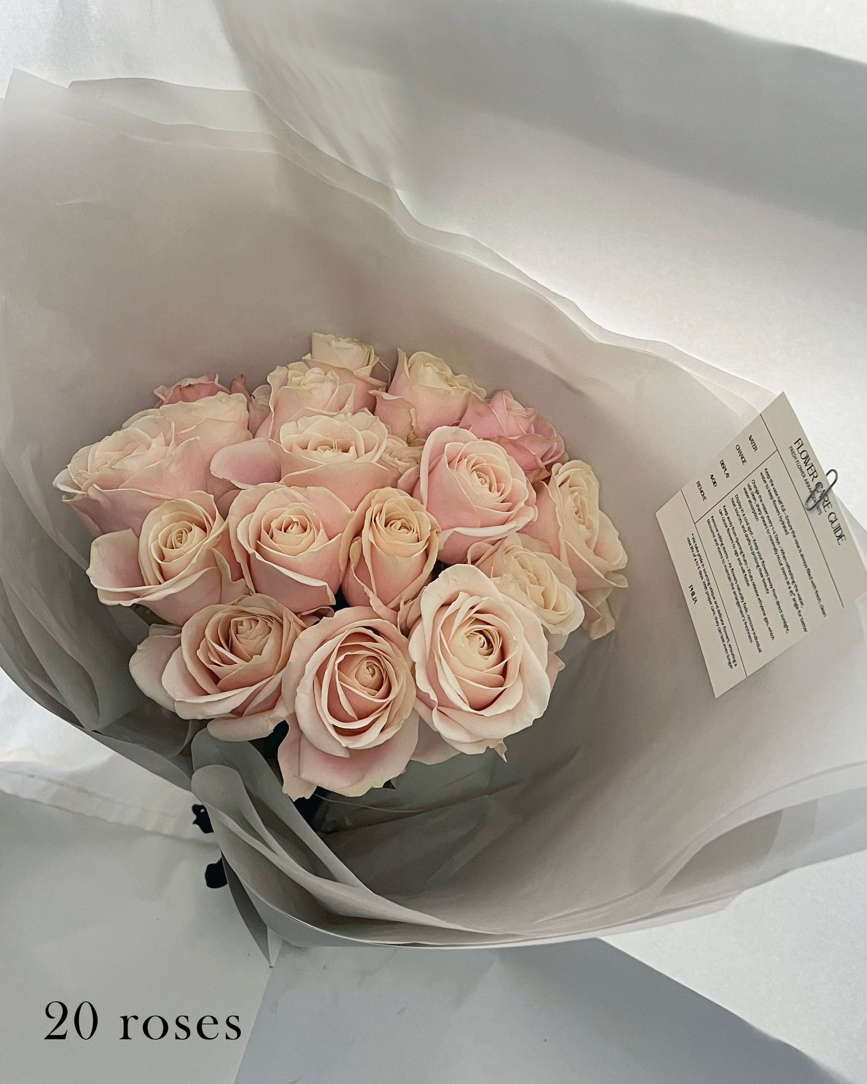 Blush Rose Handtied (Rose Only) 20 or 30 stems︱White Paper Wrap
