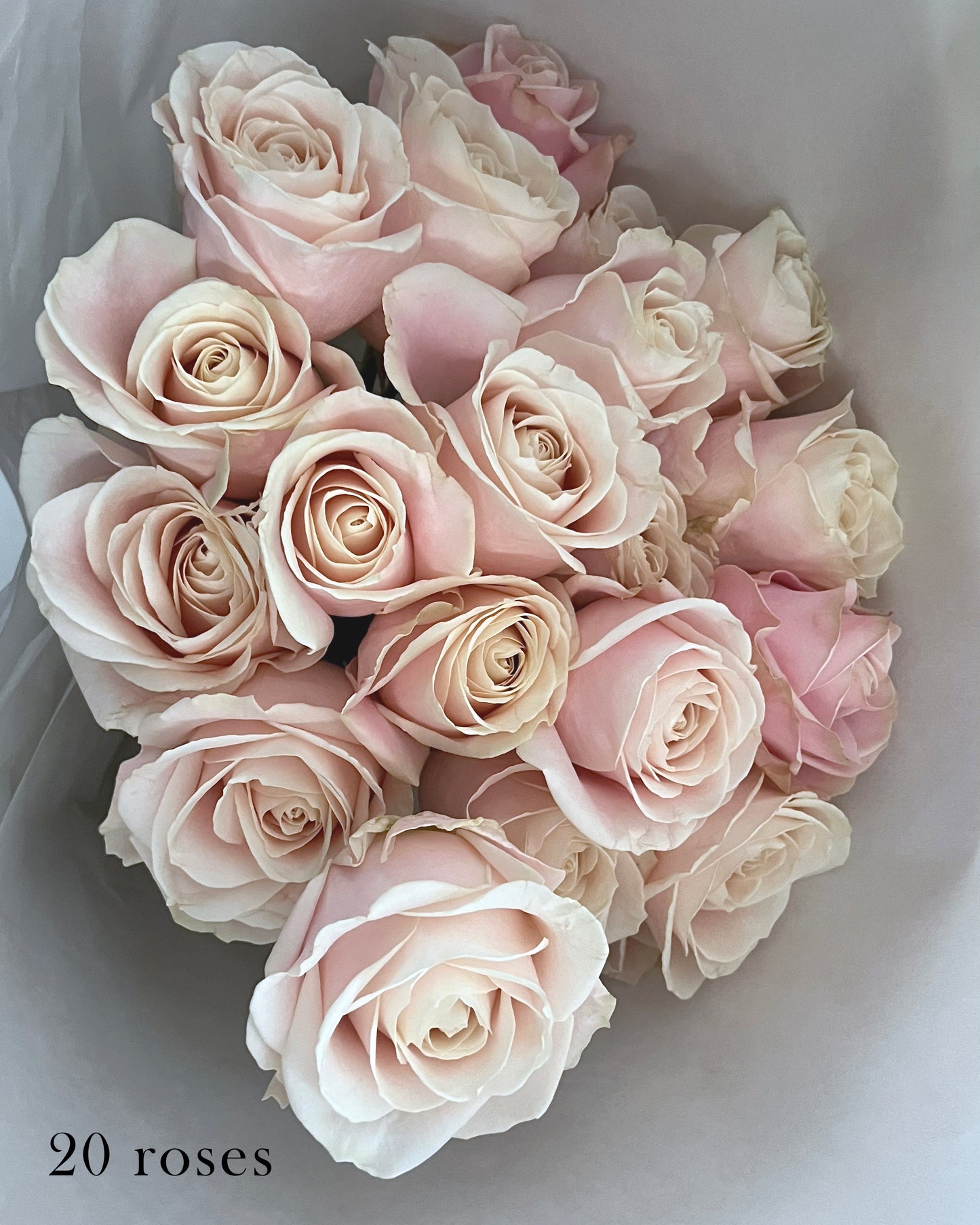 Blush Rose Handtied (Rose Only) 20 or 30 stems︱White Paper Wrap