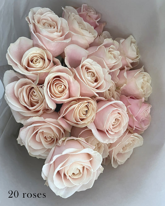 Blush Rose Handtied (Rose Only) 20 or 30 stems︱White Paper Wrap