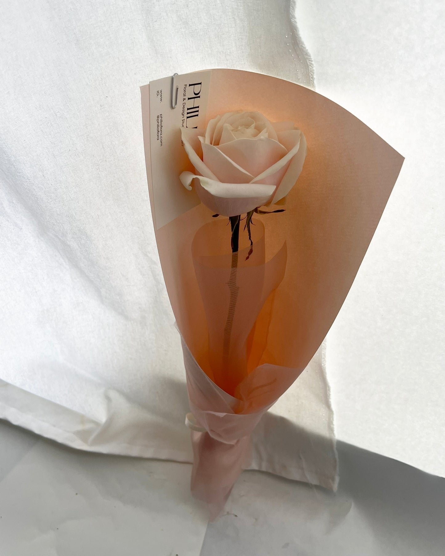 Single Blush Rose ︱Blush Paper Wrap (Pick-up Only)